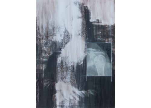 MENEGHETTI RENATO - GRANDI MAESTRI:LEONARDO MONALISA GIOCONDA IN X-RAYS